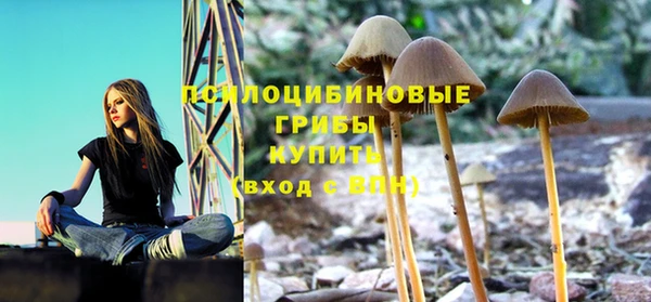 амфетамин Алексеевка